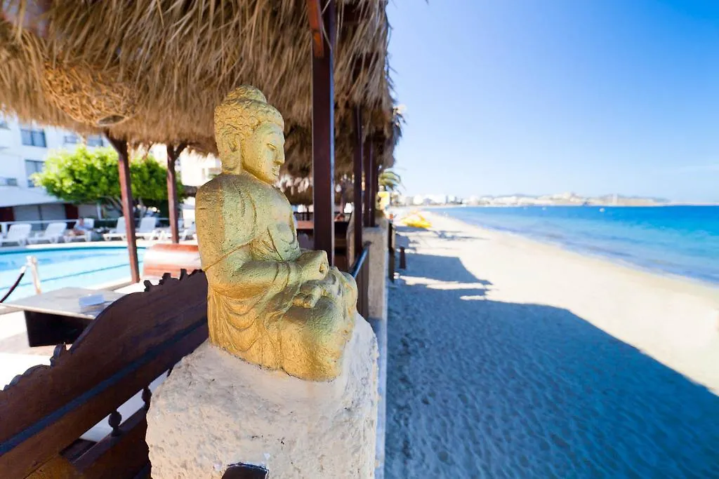 Отель Ama Ibiza (Adults Only) Плайя Ден Босса